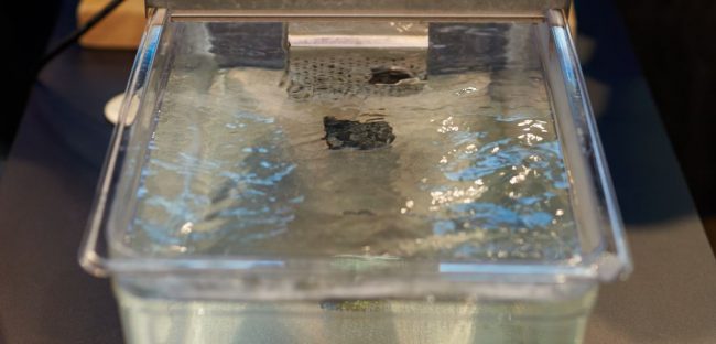 2002_What is the best vacuum sealer for sous vide What is the best vacuum sealer for sous vide