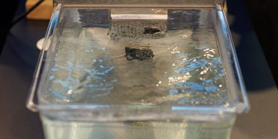 What is the best vacuum sealer for sous vide