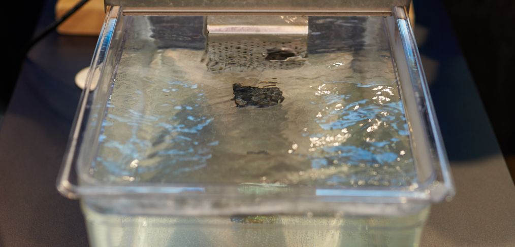 What is the best vacuum sealer for sous vide