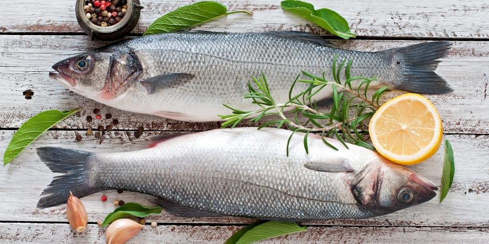 How to Vacuum Seal Fish